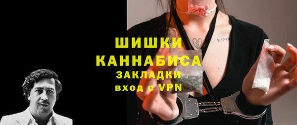 шишки Барнаул