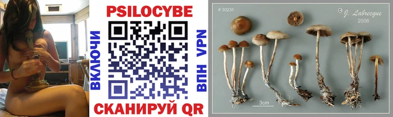 Галлюциногенные грибы мицелий Купить Саров